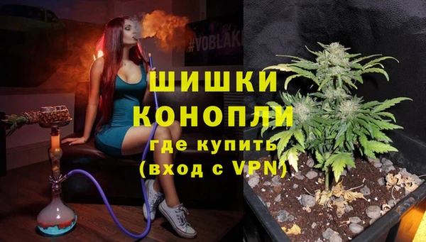 шишки Переславль-Залесский