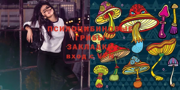 СК Пестово