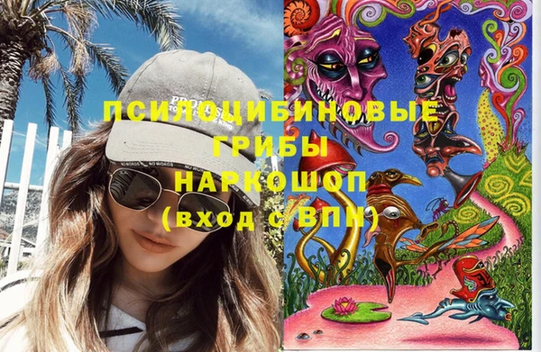 СК Пестово