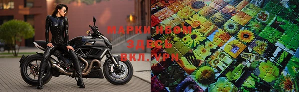 эйфоретик Пересвет