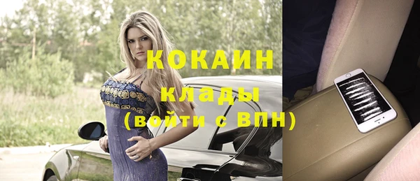 дмт Осташков