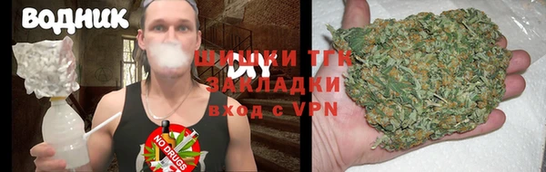 шишки Переславль-Залесский