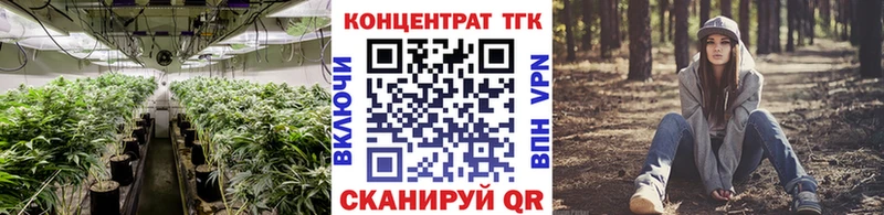 ТГК THC oil Луза