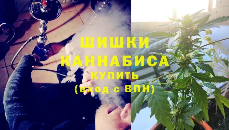 Каннабис SATIVA & INDICA  Луза 